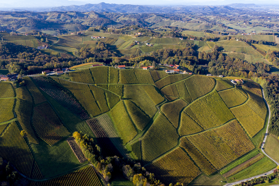 Südsteiermark, Sernauberg/Gamlitz | © STG | Tom Lamm