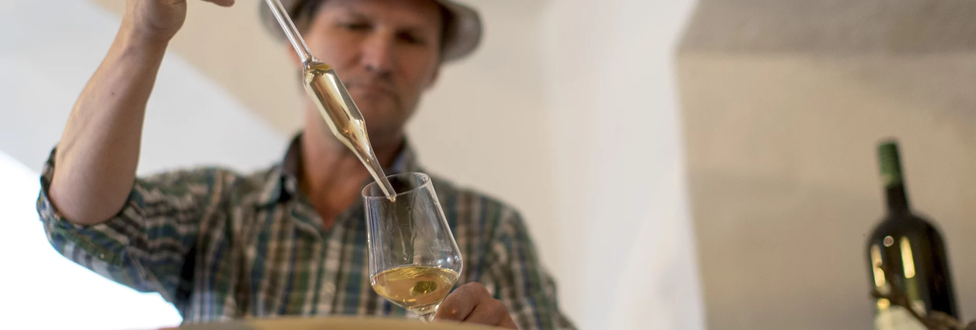 Winegrower Hans Söll, Sernauberg | © Südsteiermark | Tom Lamm