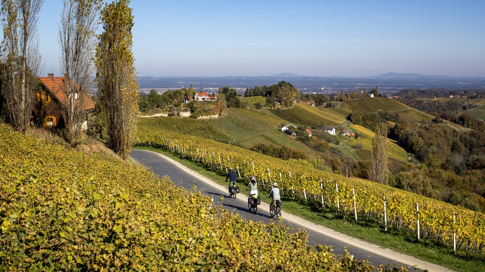 Radfahren auf der Weinland Steiermark Radtour | © STG | Tom Lamm
