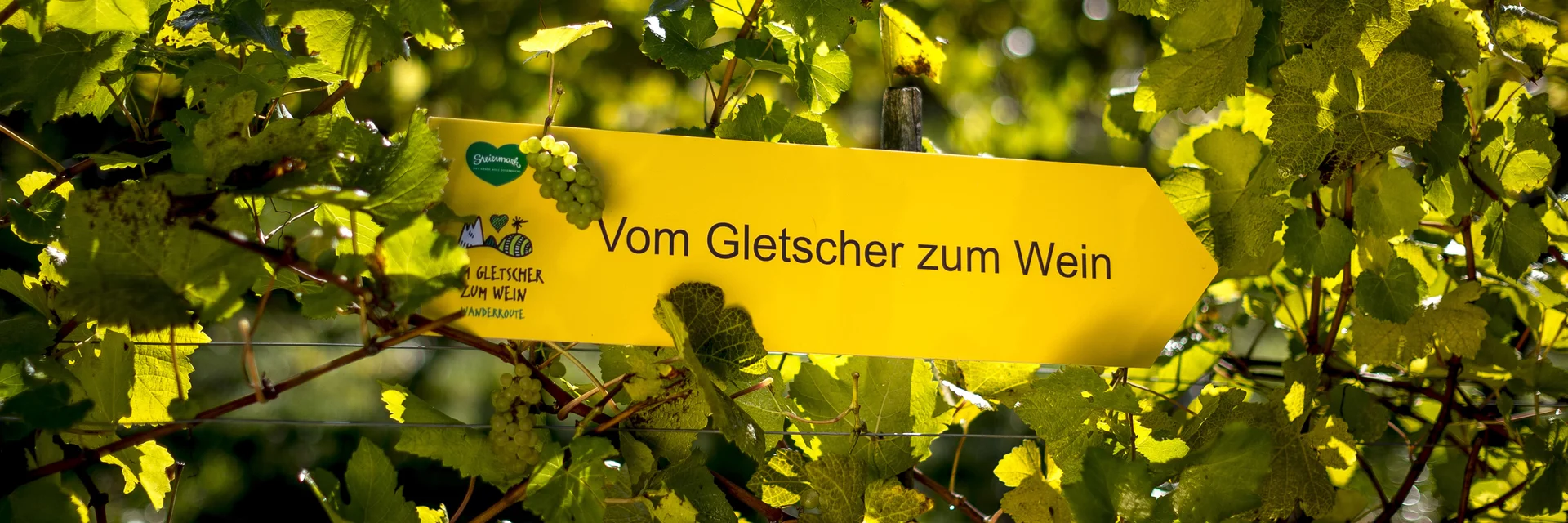 Wanderroute "Vom Gletscher zum Wein" | © STG | Tom Lamm Wanderroute "Vom Gletscher zum Wein" | © STG | Tom Lamm