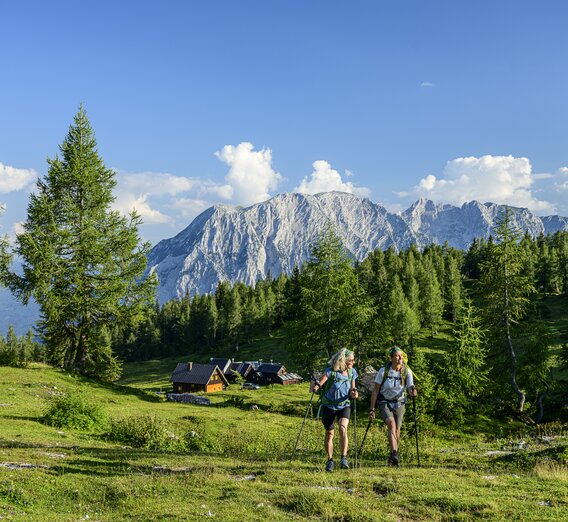 On the Tauplitzalm | © Steiermark Tourismus | Pixelmaker