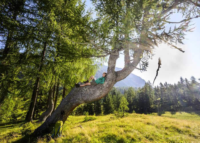 Rest on the way to the Tauplitzalm | © Steiermark Tourismus | pixelmaker.at