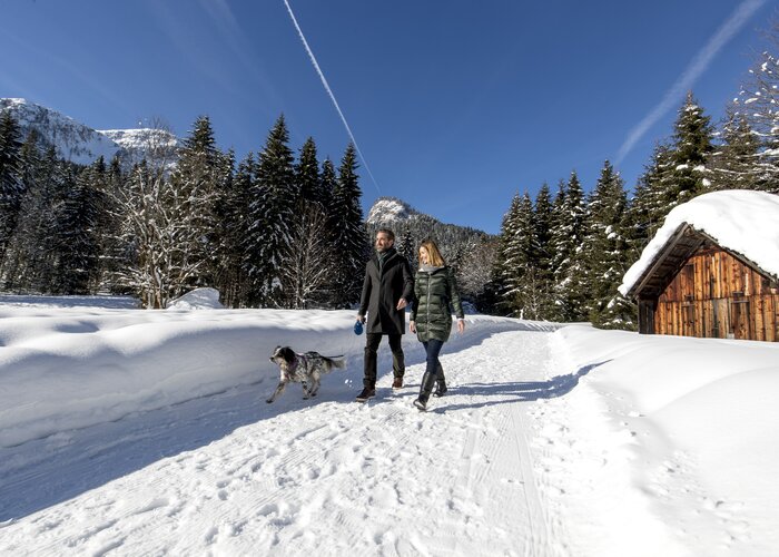 Winterspaziergang mit Hund auf der Blaa-Alm | © STG | Tom Lamm