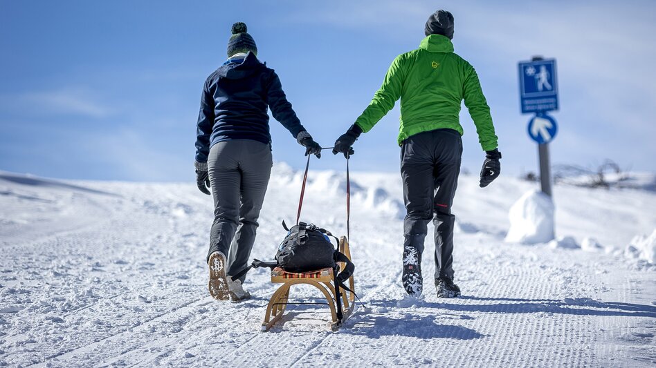 Rodeln am Winterwanderweg auf der Tauplitzalm | © STG | Tom Lamm
