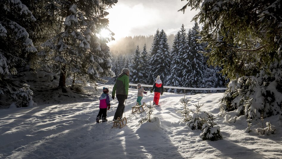 Rodeln in Murau | © STG | Tom Lamm