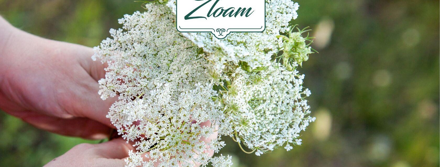 Herb Walk | © www.zloam.at