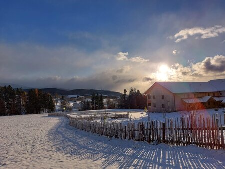 Pircherhof_Winterwonderland_Eastern Styria