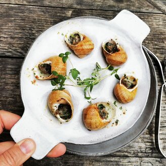 Snail tasting at the Biovinothek Monschein | © monschein