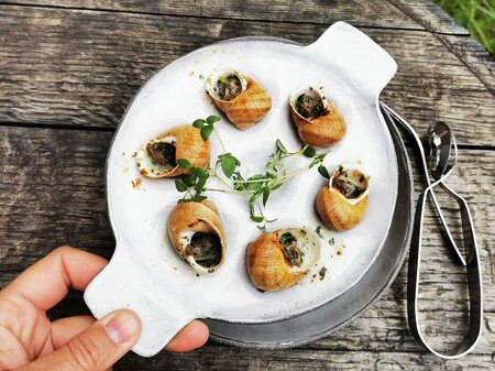 Snail tasting at the Biovinothek Monschein | © monschein