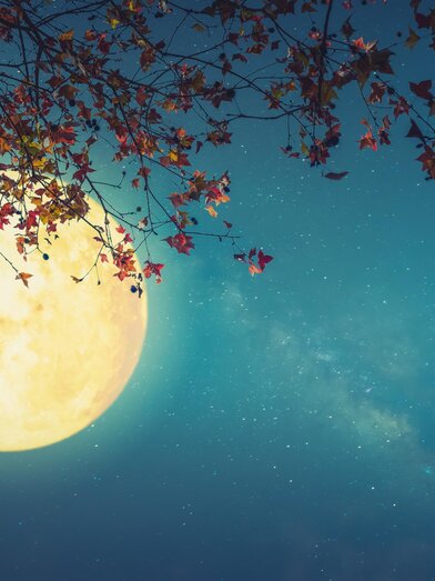 Full moon hike | © Das Kurhaus Bad Gleichenberg GmbH | © Das Kurhaus Bad Gleichenberg GmbH