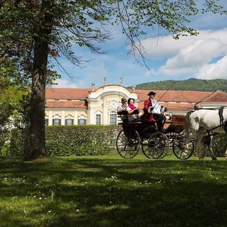 Der Schlosskutscher_Kutsche_Oststeiermark | © Der Schlosskutscher/Bergmann