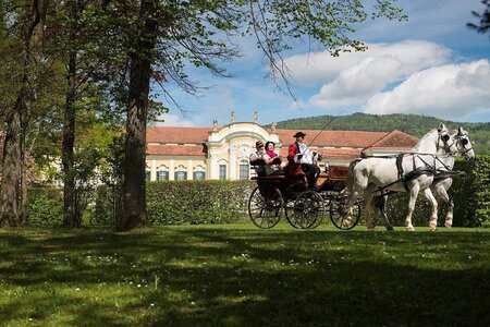 The castle_coach_Eastern Styria | © Der Schlosskutscher/Bergmann