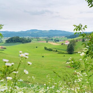 Aussicht vom Flambergerhof | © RM SW GmbH | webquartier.at