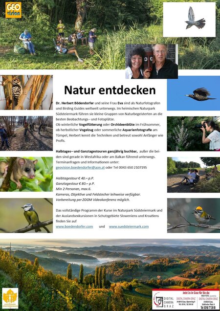 Natur entdecken