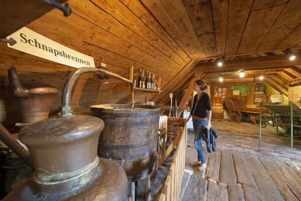 Haus des Apfels_Museum_Oststeiermark