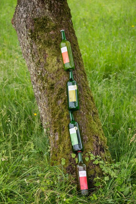 Juice from Muhr_Pöllau_Eastern Styria | © ©Daniel Muhr
