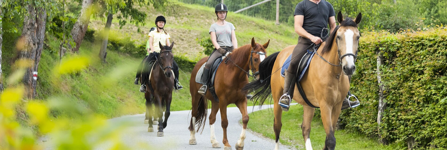 Muhr Erich_Reiter in der Natur_Oststeiermark | © Hotel Muhr