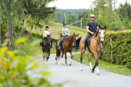 Muhr Erich_Reiter in der Natur_Oststeiermark | © Hotel Muhr