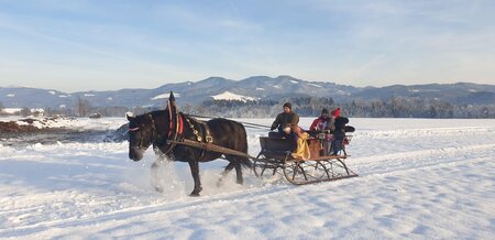 Deutinger-Kutsche-Murtal-Steiermark | © Fam. Deutinger