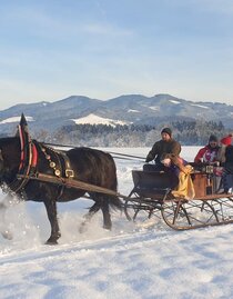 Deutinger-Kutsche-Murtal-Steiermark | © Fam. Deutinger | Fam. Deutinger | © Fam. Deutinger