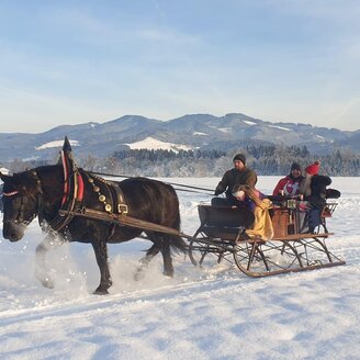 Deutinger-Kutsche1-Murtal-Steiermark | © Norikerhof Deutinger