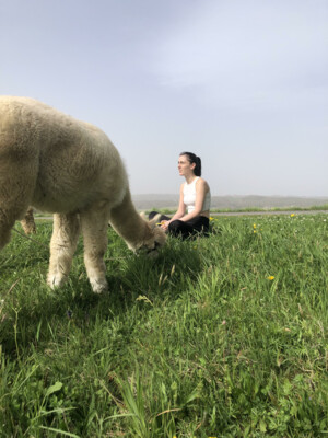 Time with alpacas | © Jenny Benedict