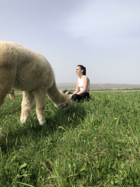 Time with alpacas | © Jenny Benedict