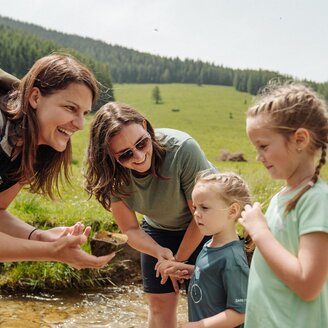 Entdecken_Naturparkführung_Oststeiermark | © studio draussen