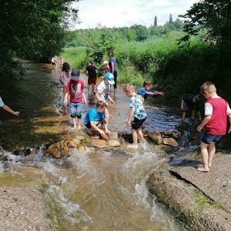 Lebensraum Bach_Pöllau_ Oststeiermark | © Naturpark Pöllauer Tal