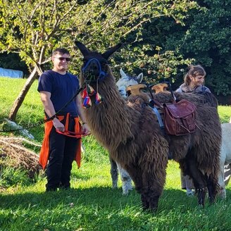 Johann_PoellauertalAlpacas_EastStyria | © Pöllauertal Alpakas