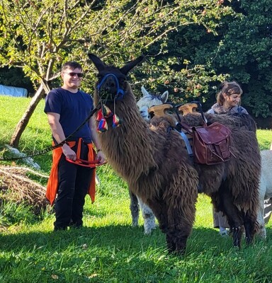 Johann_PoellauertalAlpacas_EastStyria | © Pöllauertal Alpakas