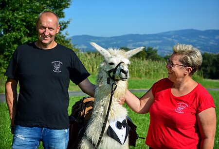 FamilyGanster_PoellauertalAlpacas_EastStyria | © Pöllauertal Alpakas