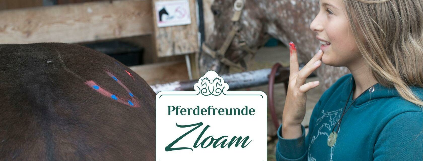 Pony Wochencamp | © www.pferdefreunde-zloam.at