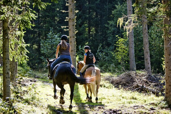 UAB_2011_Sommer 214