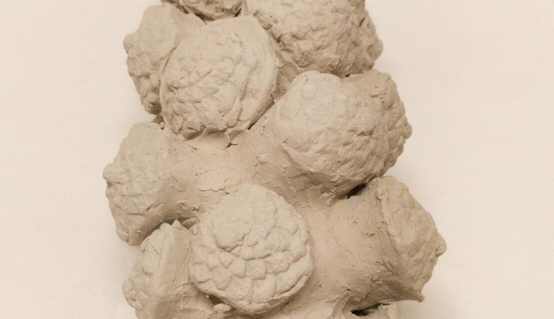clay_sculpture_plastic_Schmid_East_Styria | © Styrian Summer Art
