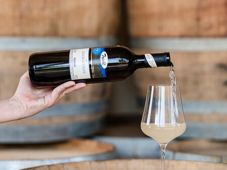 Triebl Winery Styrian Volcanic Region Styria | © Weingut Triebl