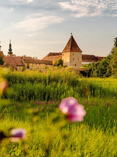 View of historical old town Bad Radkersburg | © Wolfgang Spekner | Wolfgang Spekner | © Wolfgang Spekner