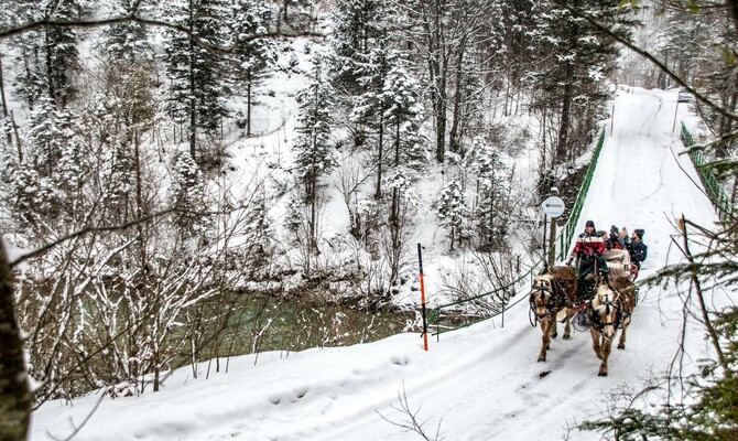 Pferdeschlittenfahrt in Wildalpen | © Christian Scheucher