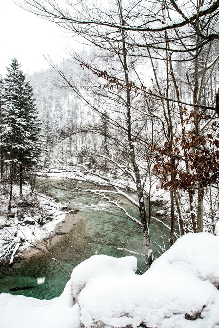 Blick auf den Lassingbach | © Christian Scheucher