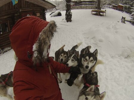 Husky Wanderung | © IRON ROAD Siberains