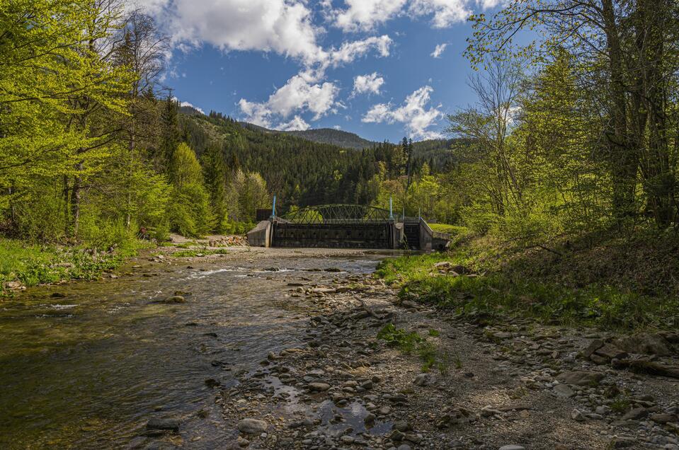 Mürzer Au
