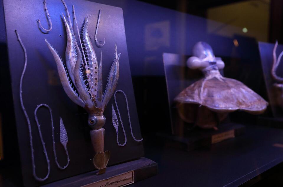 “FASCINATING TREASURES” AT THE NATURAL HISTORY MUSEUM GRAZ - Impression #1