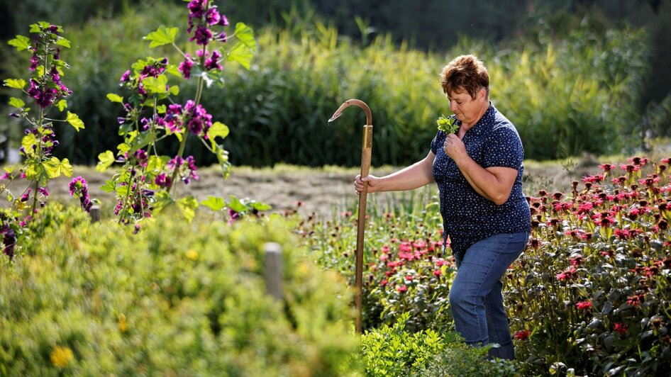 Familie Pöllabauer_Almenland_Oststeiermark | © Tourismus Oststeiermark