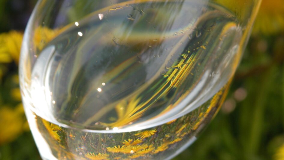 100 Best Wines in Fürstenfeld - Impressionen #2.2