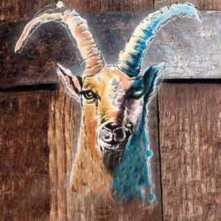 Bock