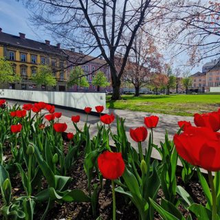 Gaerner Park C Stadtleoben | © Bild: Stadt Leoben