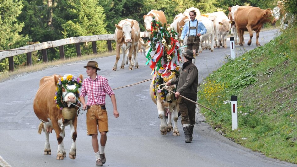 Almabtrieb-vom Lachtal auf's Hochegg | © Almabtrieb-vom Lachtal auf's Hochegg, Josef Wieser
