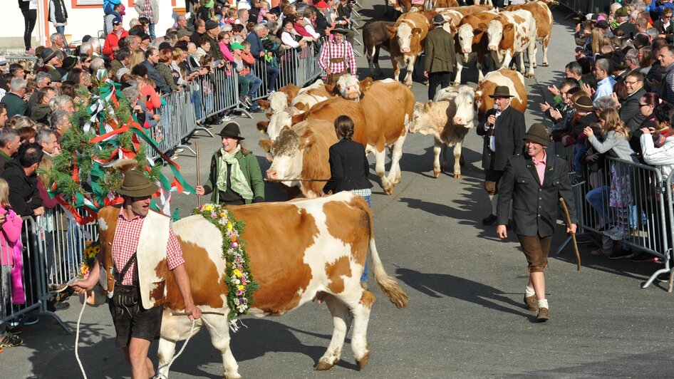 Almabtrieb-Empfang am  Hochegg | © Josef Wieser