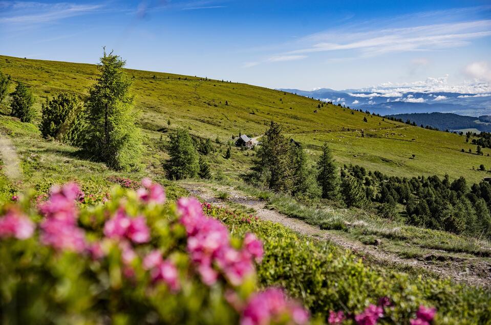Almrausch-Murtal-Steiermark