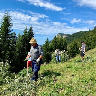 Freiwillige Helfer_Almgschwendtag_Tyrnaueralm | © Tourismusverband Oststeiermark